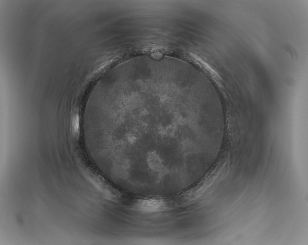 X0000113010067200908271418