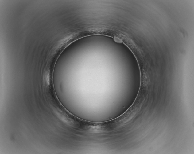 X0000113010068200908271418