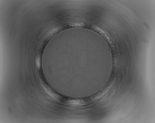 X0000113010069200908271418