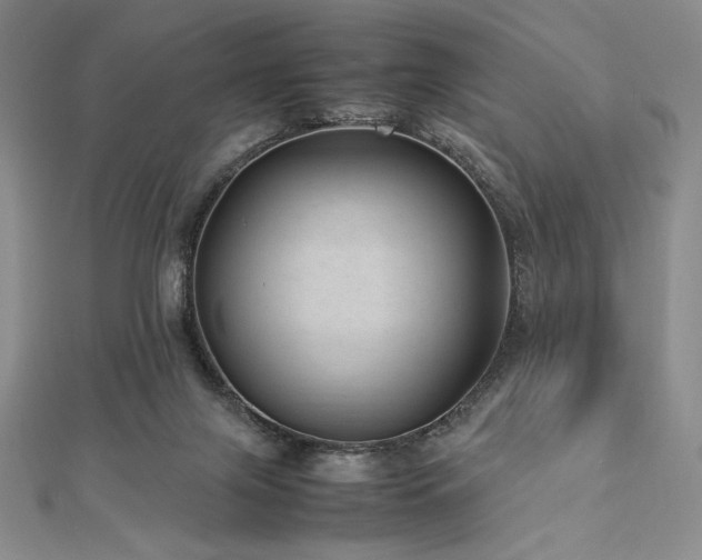 X0000113010071200908271418