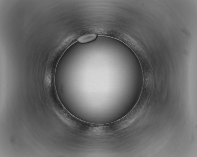 X0000113010072200908271418