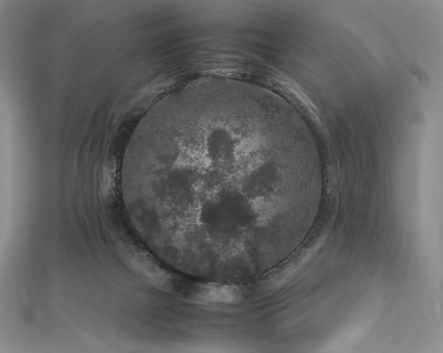 X0000113010073200908271418