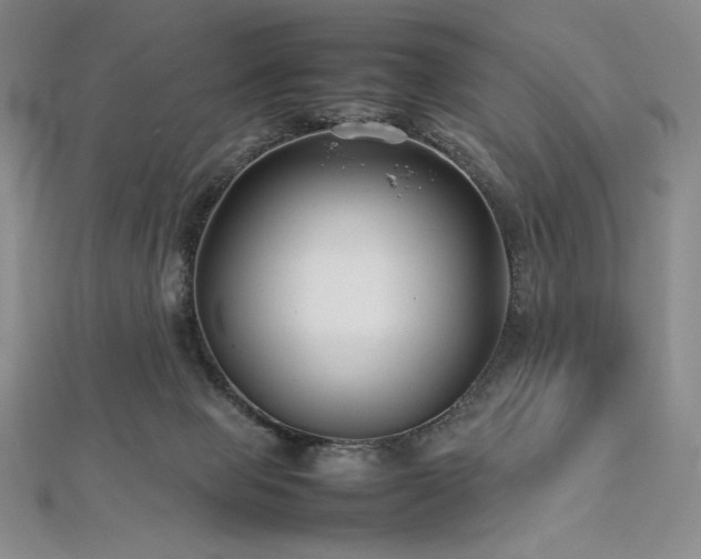 X0000113010077200908271418