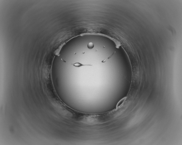 X0000113010078200908271418