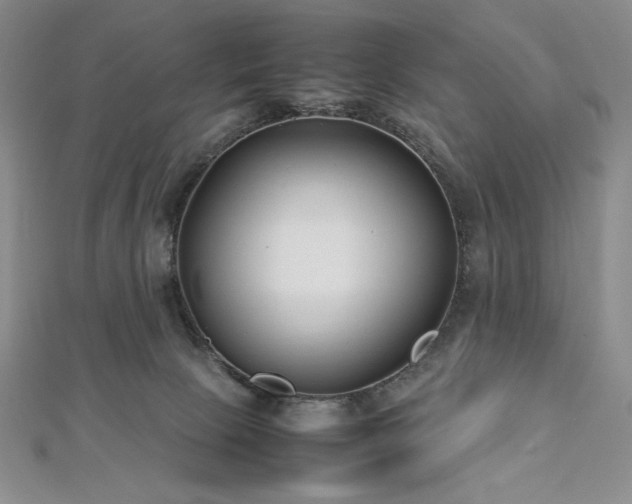 X0000113010081200908271418