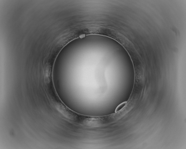 X0000113010082200908271418