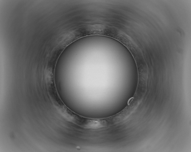 X0000113010083200908271418