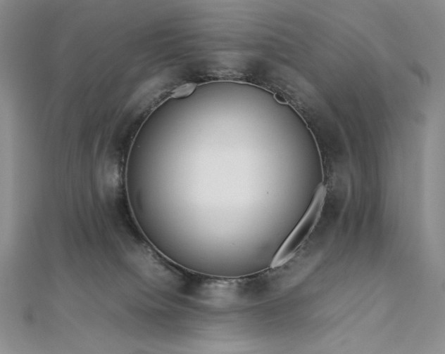 X0000113010084200908271418