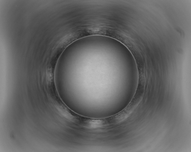 X0000113010085200908271418