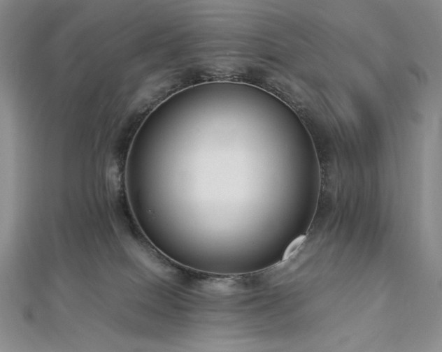 X0000113010086200908271418