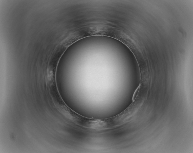 X0000113010087200908271418