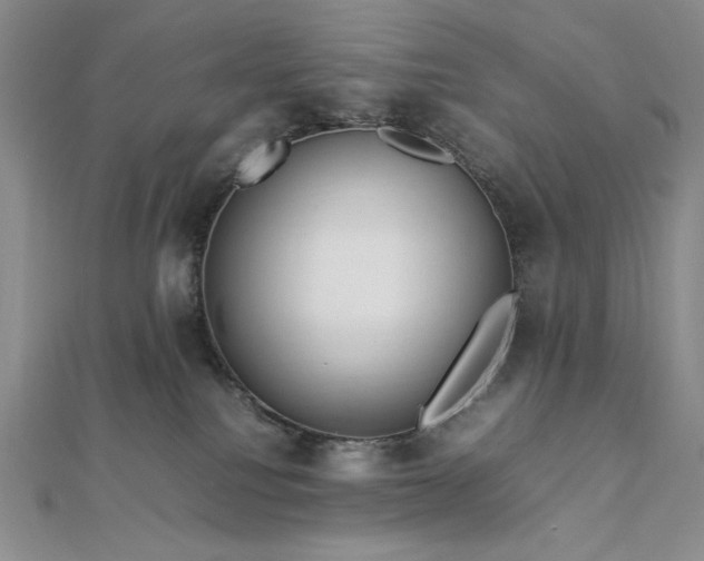 X0000113010088200908271418