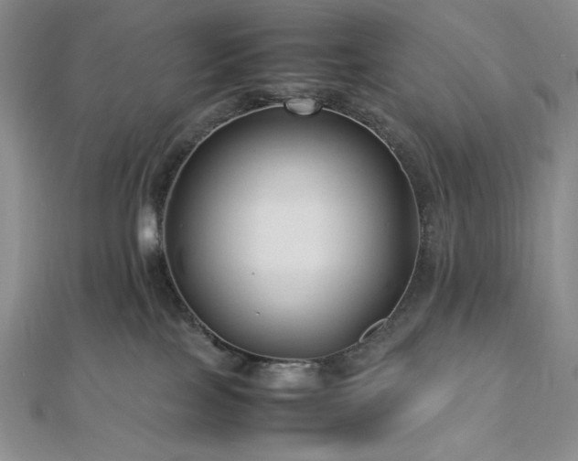 X0000113010089200908271418