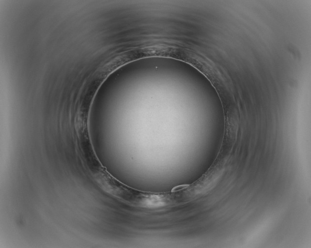 X0000113010091200908271418