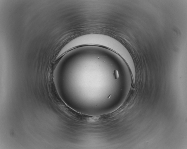 X0000113010092200908271418