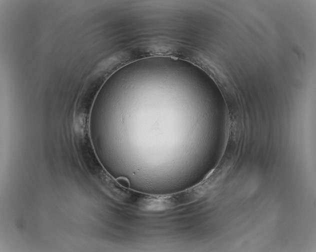 X0000113010093200908271418