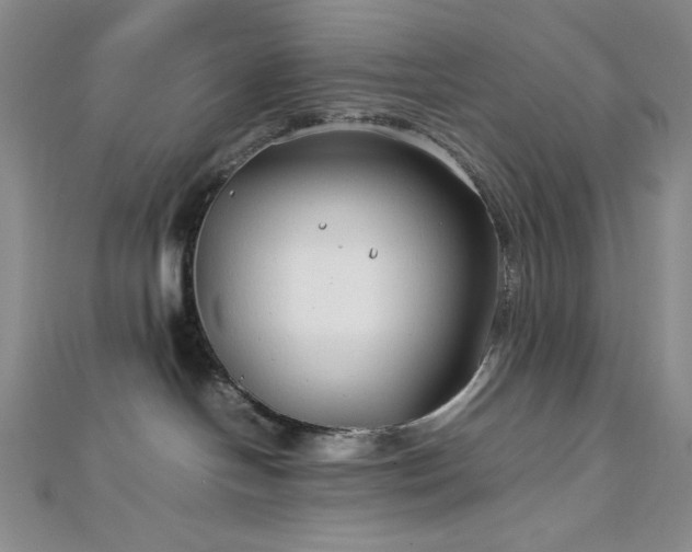 X0000113010094200908271418