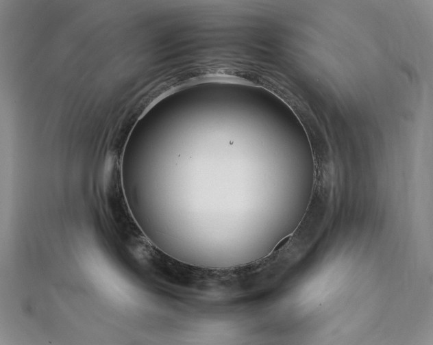 X0000113010095200908271418