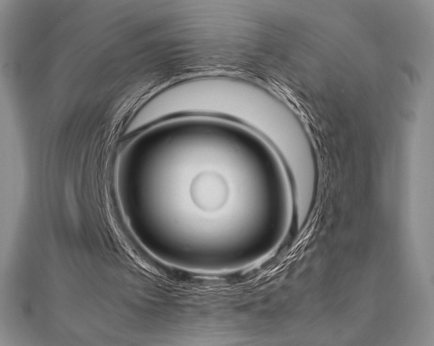 X0000113010097200908271418