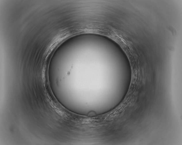 X0000113010098200908271418