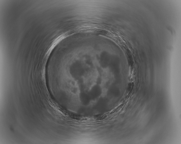 X0000113010099200908271418