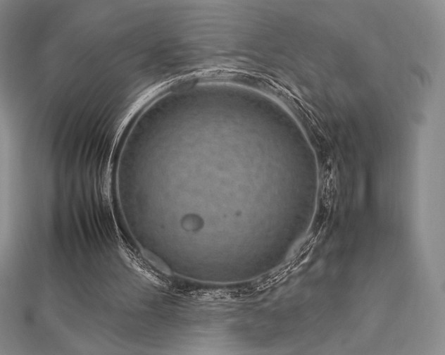 X0000113010100200908271418