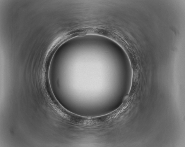 X0000113010101200908271418