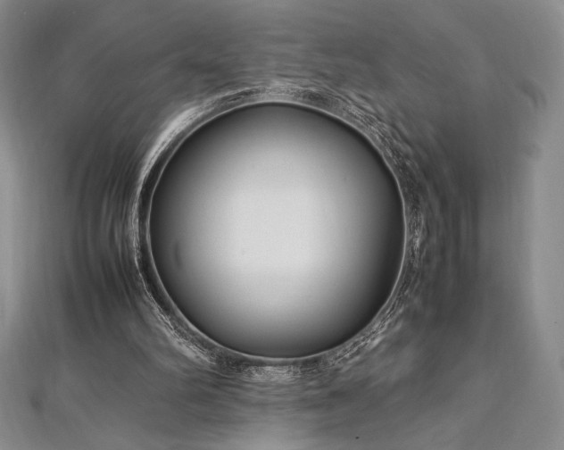 X0000113010102200908271418