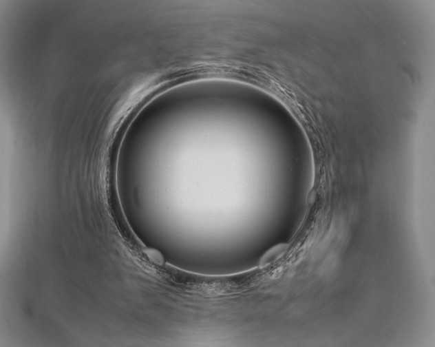 X0000113010103200908271418