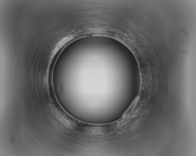 X0000113010104200908271417