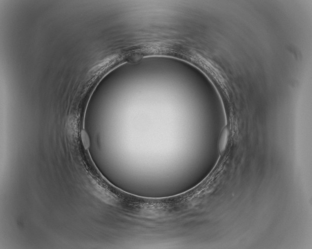 X0000113010105200908271417