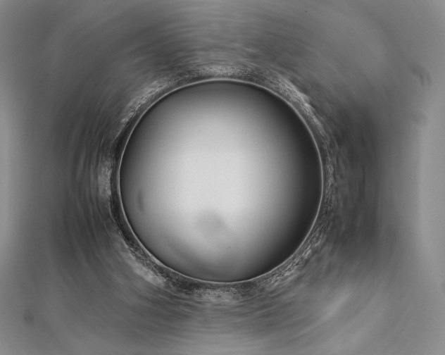 X0000113010106200908271417