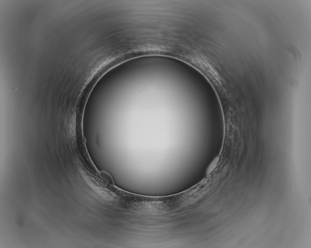 X0000113010108200908271417