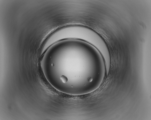 X0000113010112200908271417