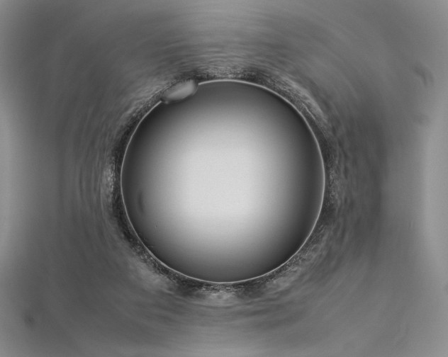 X0000113010113200908271417