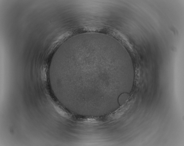 X0000113010114200908271417