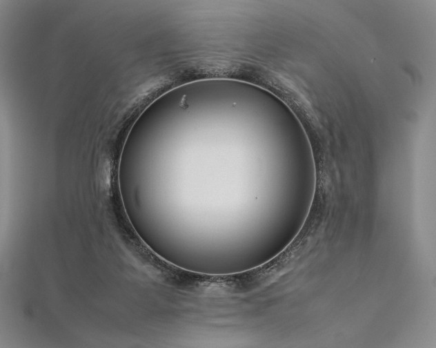 X0000113010115200908271417