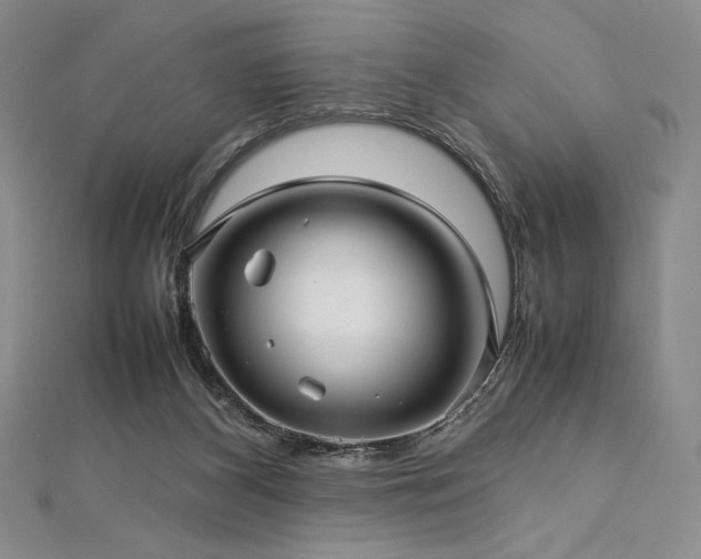 X0000113010116200908271417