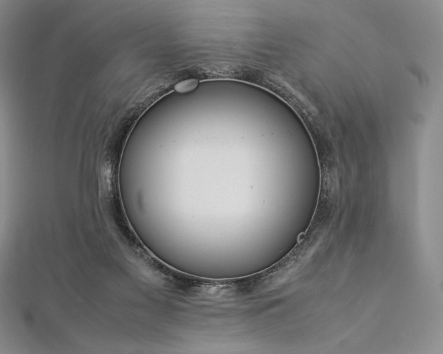 X0000113010117200908271417