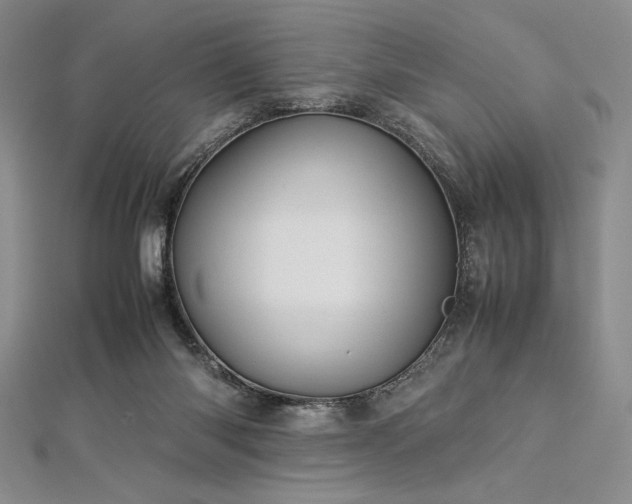 X0000113010118200908271417