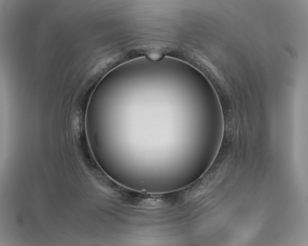 X0000113010119200908271417