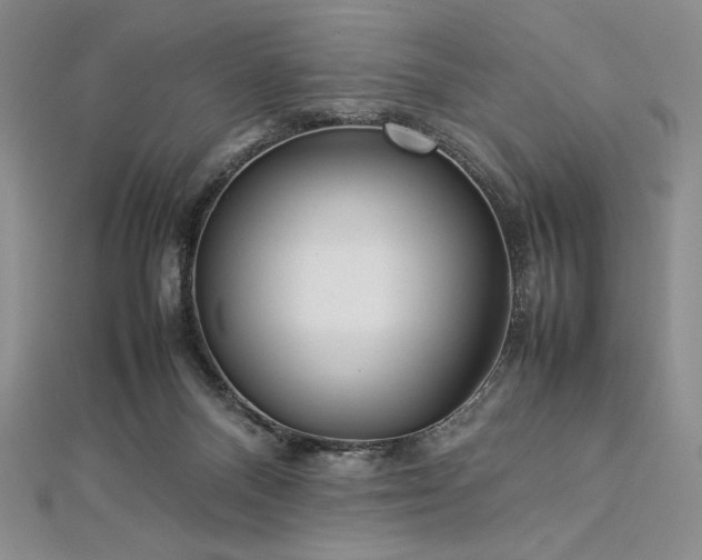 X0000113010120200908271417