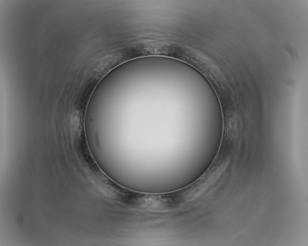 X0000113010121200908271417