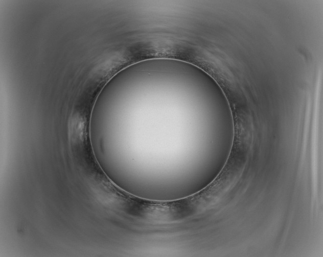 X0000113010123200908271417