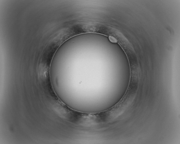 X0000113010125200908271417