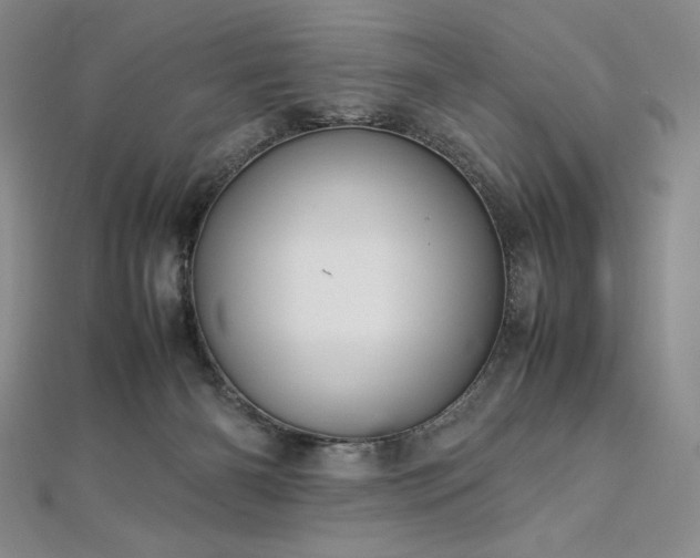 X0000113010126200908271417