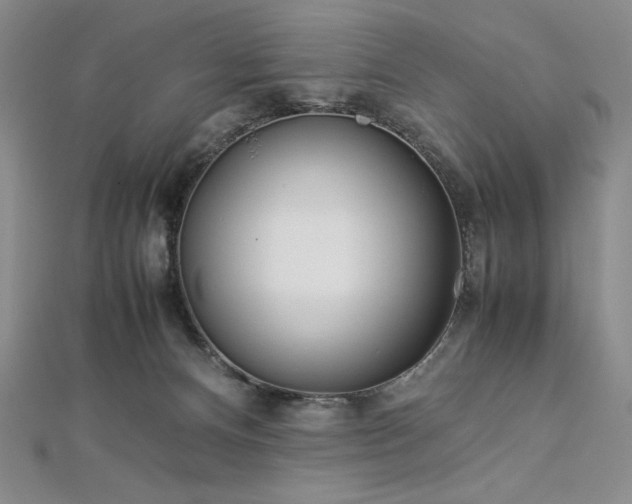 X0000113010128200908271417