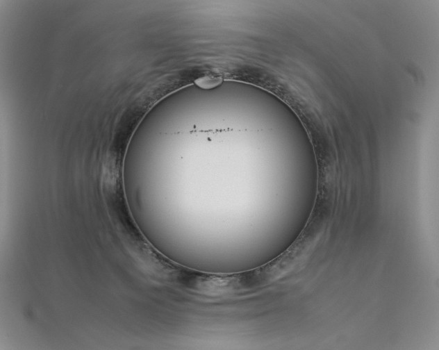 X0000113010129200908271417