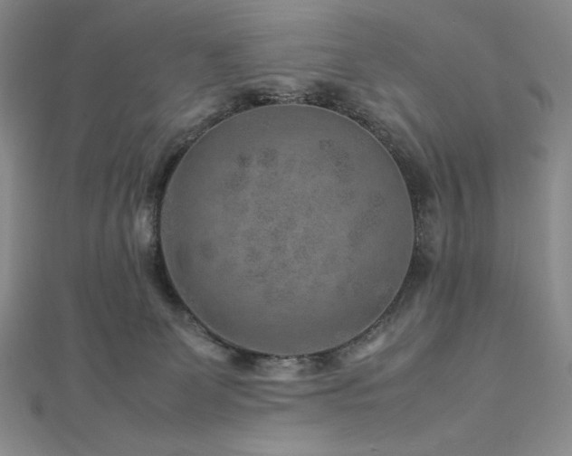 X0000113010131200908271417