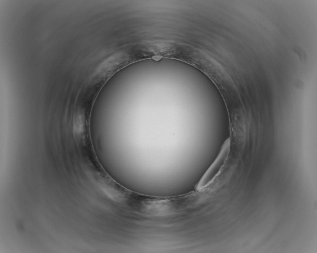 X0000113010132200908271417